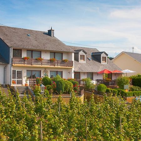Pension Und Weingut Moselblick Браунеберг Екстериор снимка