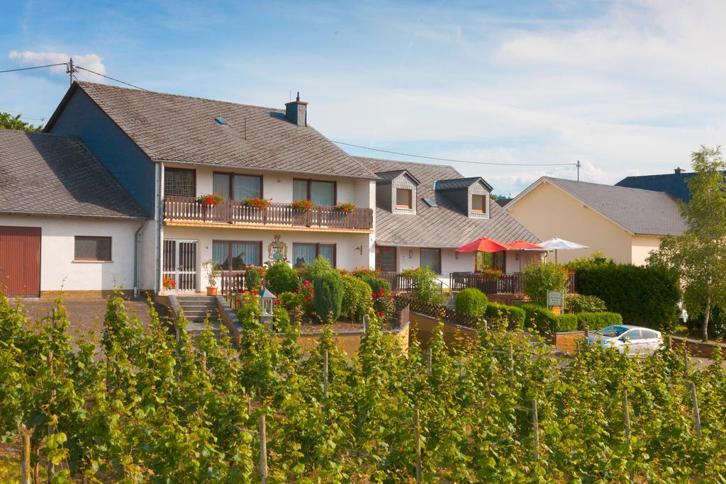 Pension Und Weingut Moselblick Браунеберг Екстериор снимка
