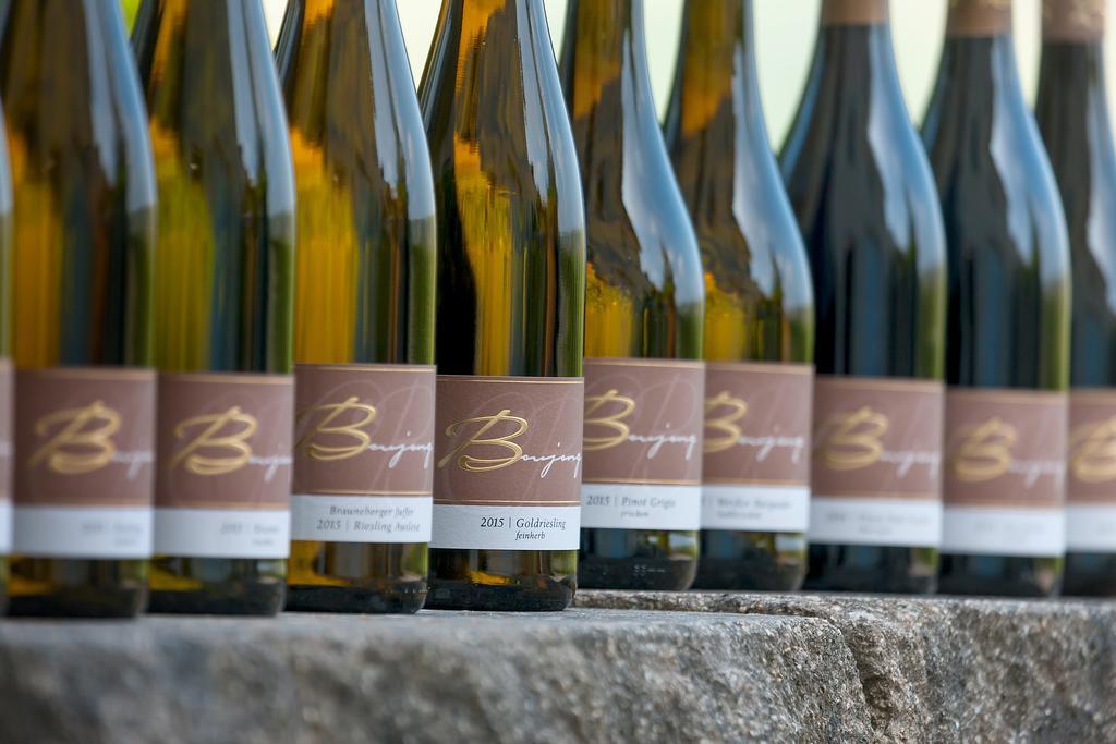 Pension Und Weingut Moselblick Браунеберг Екстериор снимка