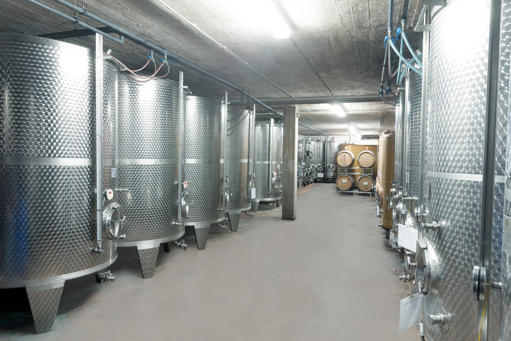 Pension Und Weingut Moselblick Браунеберг Екстериор снимка