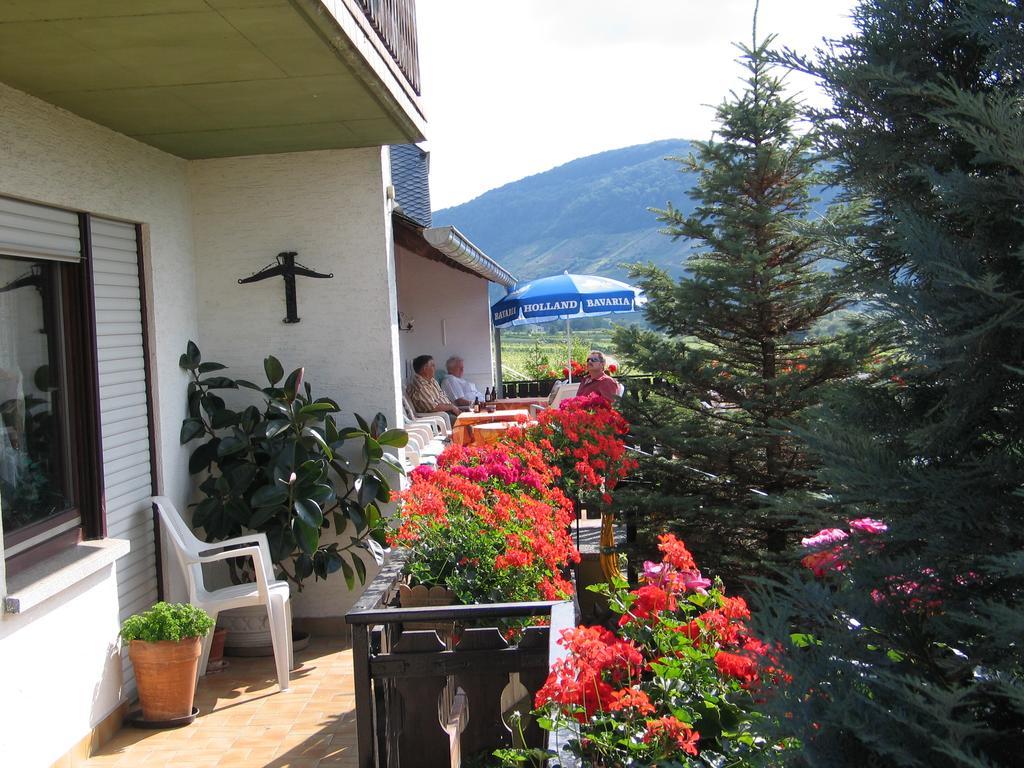 Pension Und Weingut Moselblick Браунеберг Екстериор снимка