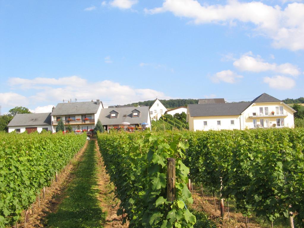 Pension Und Weingut Moselblick Браунеберг Екстериор снимка